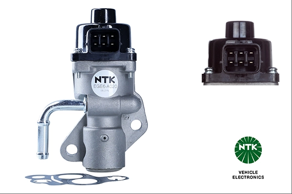 EGR Valve