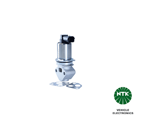 EGR Valve (94072)