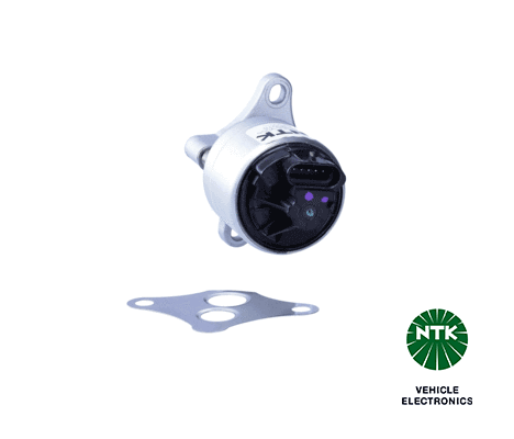EGR Valve (95016)