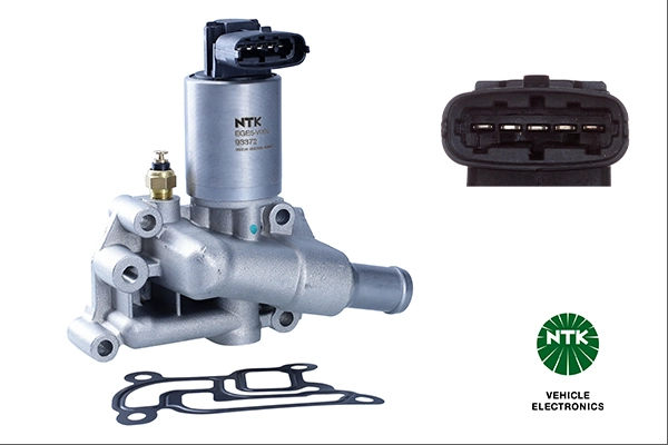 EGR Valve