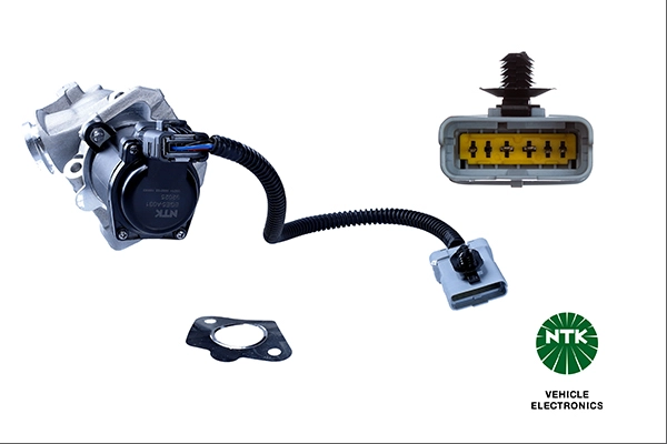EGR Valve