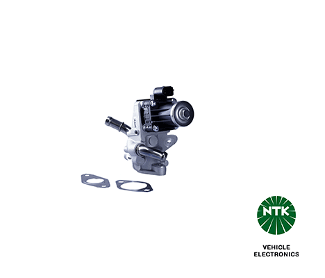EGR Valve (94117)