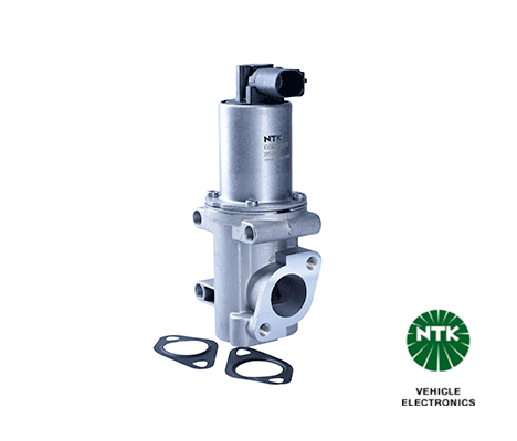 EGR Valve (95269)
