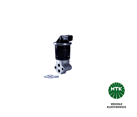 EGR Valve (94721)