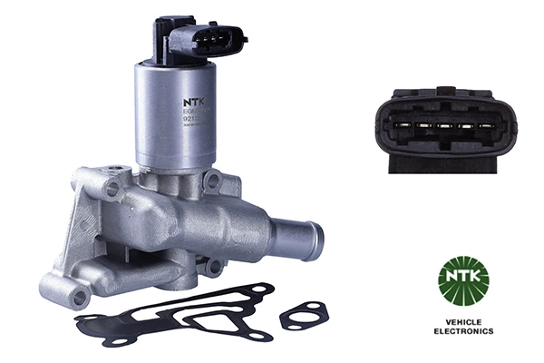 EGR Valve