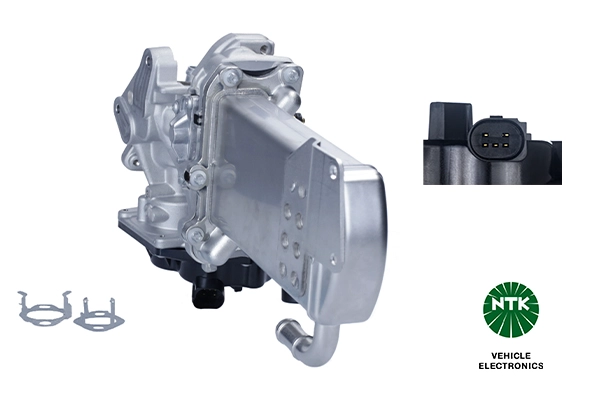 EGR Module