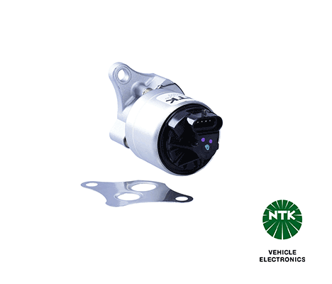 EGR Valve (97893)