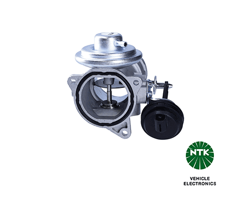 EGR Valve (97282)
