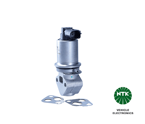EGR Valve (92133)