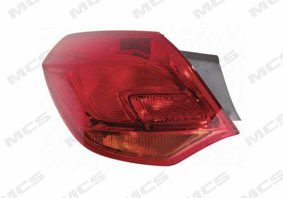 Tail Light Assembly (326903384)