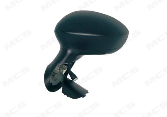 Exterior Mirror (337010818)