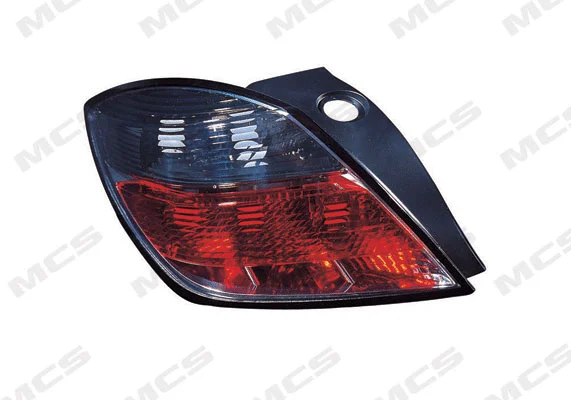 Tail Light Assembly (326903062)