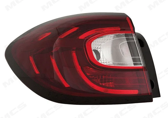 Tail Light Assembly (321389)