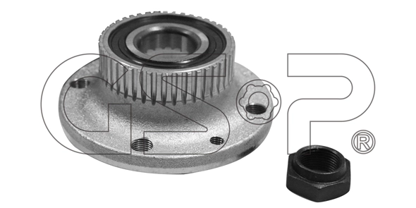 Wheel Bearing Kit (9230090K)