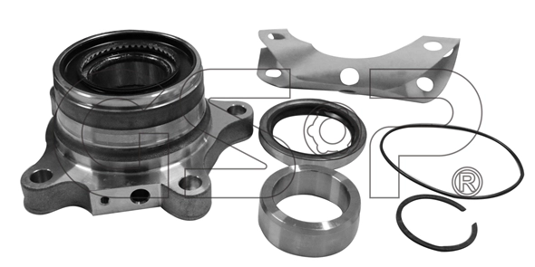 Wheel Bearing Kit (9244003K)