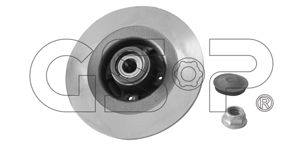 Brake Disc (9225041K)
