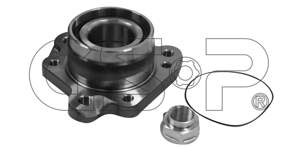 Wheel Bearing Kit (9243004K)
