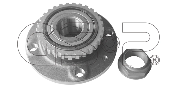 Wheel Hub (9232013K)