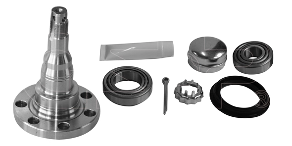 Steering Knuckle, wheel suspension (9499044K)