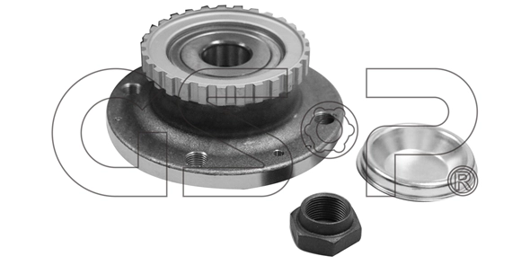 Wheel Bearing Kit (9225013K)