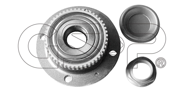 Wheel Bearing Kit (9232028K)