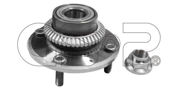 Wheel Bearing Kit (9230081K)