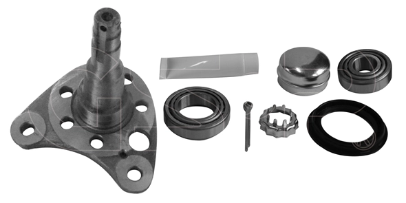 Steering Knuckle, wheel suspension (9499014K)