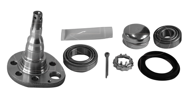 Steering Knuckle, wheel suspension (9499046K)