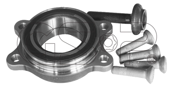 Wheel Bearing Kit (9262001K)
