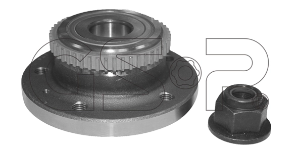 Wheel Bearing Kit (9230109K)