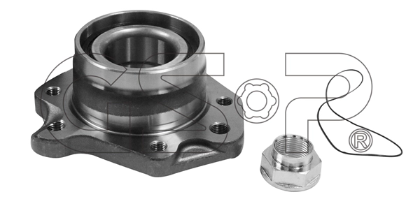 Wheel Bearing Kit (9243003K)