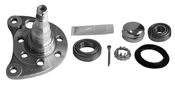 Steering Knuckle, wheel suspension (9499015K)