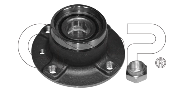 Wheel Bearing Kit (9230061K)