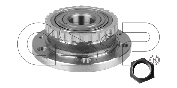 Wheel Bearing Kit (9232001K)