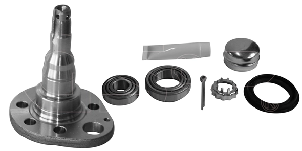 Steering Knuckle, wheel suspension (9499045K)