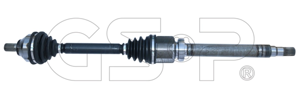 Drive Shaft (262024)