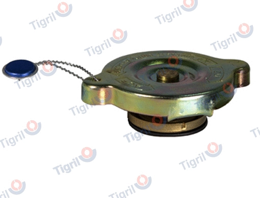 Cap, coolant tank (DB18.0019)