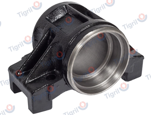 Mounting, leaf spring (DB09.0059)