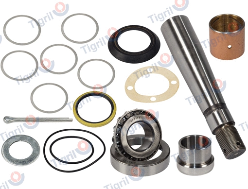 Repair Kit, kingpin (VO08.0001)