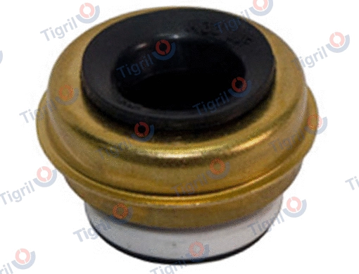 Shaft Seal, water pump shaft (DB01.0082)