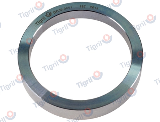 Ring, wheel hub (DB09.0061)