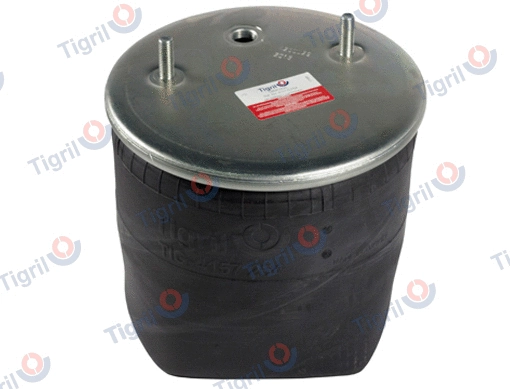 Bellow, air suspension (DB09.0025)