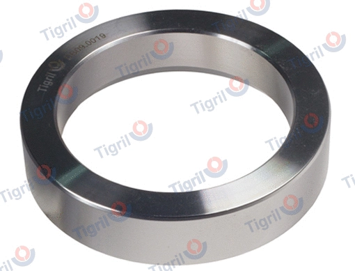 Ring, wheel hub (DB09.0019)