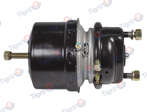 Spring-loaded Cylinder (DB13.0042)