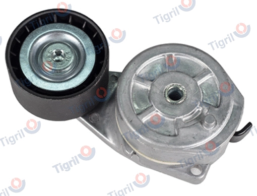 Belt Tensioner, V-ribbed belt (SC01.0016)