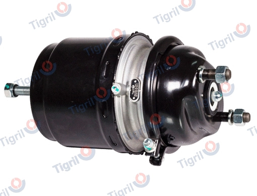 Spring-loaded Cylinder (DB13.0040)