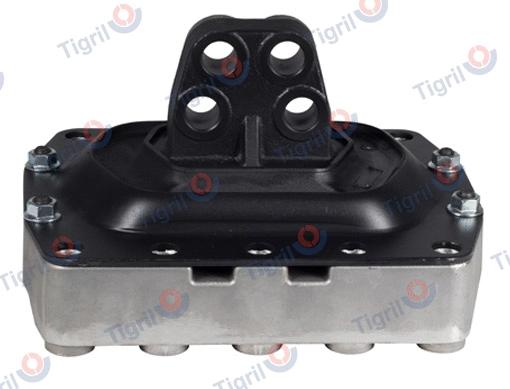 Mounting, engine (VO01.0009)