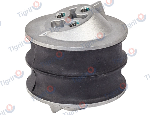Mounting, engine (SC01.0013)