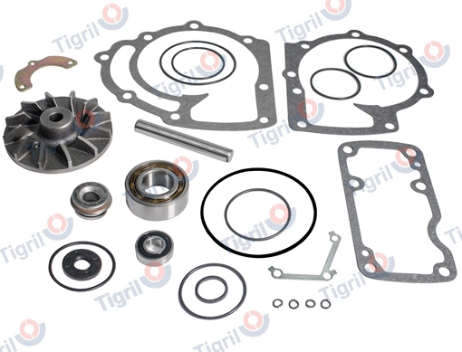 Repair Kit, water pump (VO01.0017)