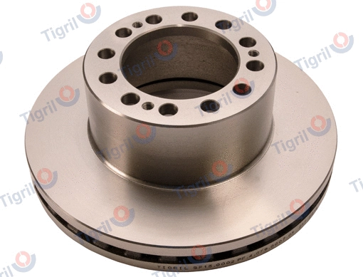 Brake Disc (SF13.0002)
